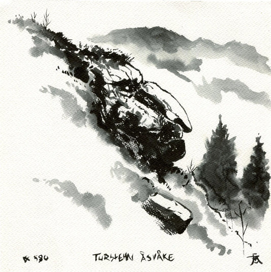 Original: #580 - Turstein Åsvåke
