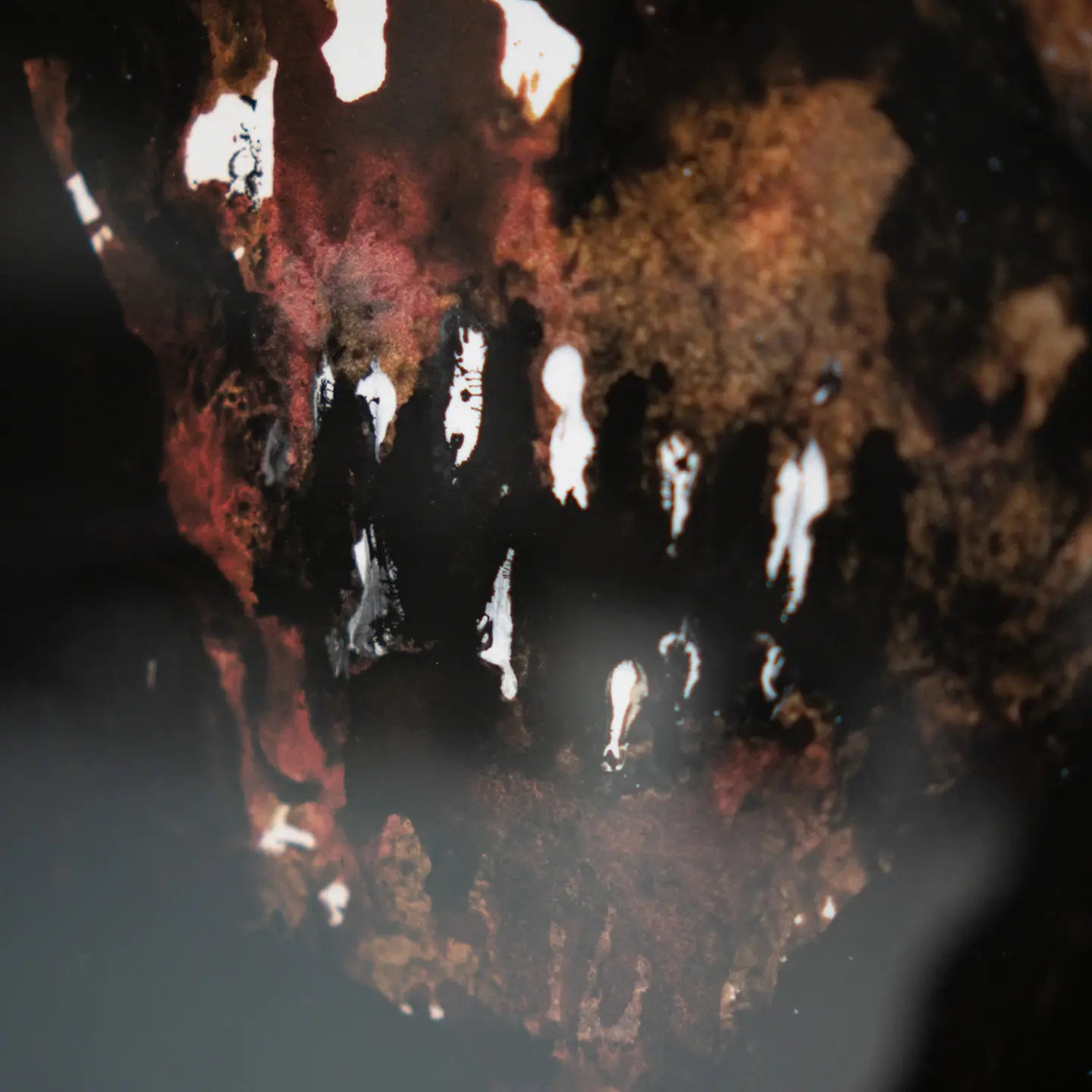 Signed Print: Corpse Eater