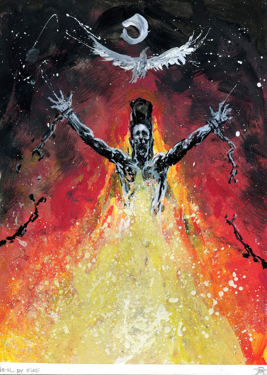Trial By Fire-Kim Diaz Holm