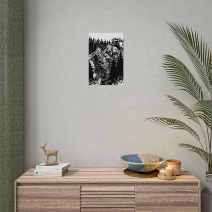 Print: The Trolls of Heidalskogen