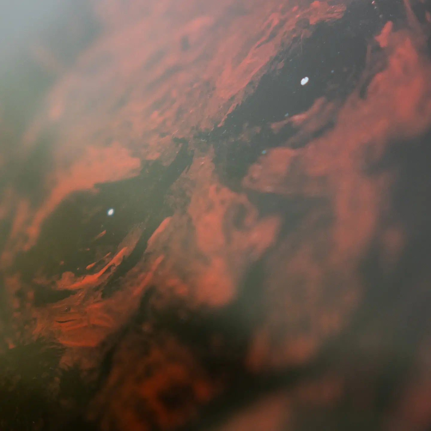 Signed Print: Satan Lives