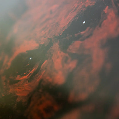 Signed Print: Satan Lives