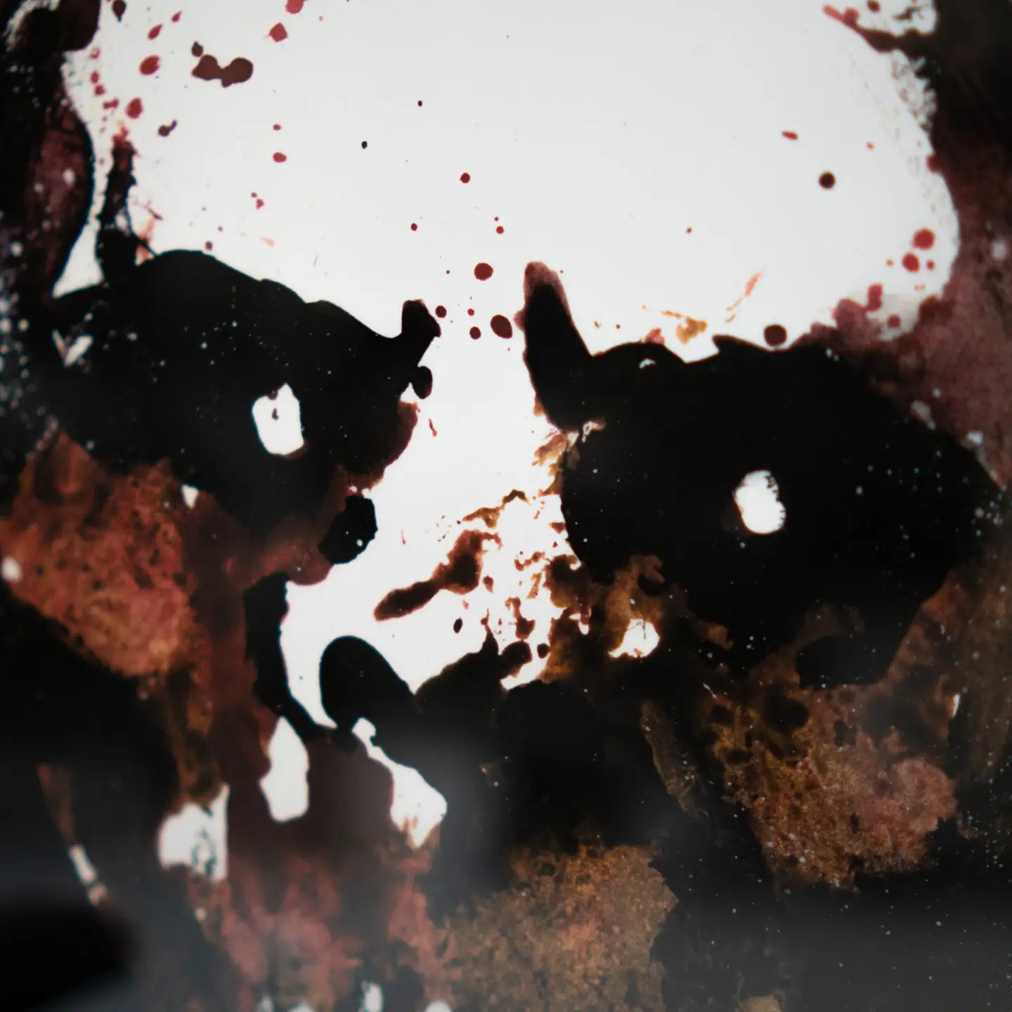 Signed Print: Corpse Eater